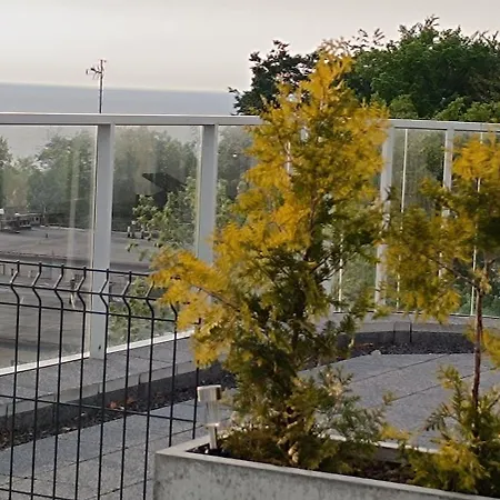 Tropikalny Prywatny Taras Na Dachu Z Widokiem Na Morze Sianozety